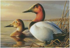 2014-2015 Federal Duck Stamp Print