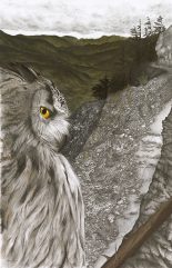 Ascendant – Great Horned Owl