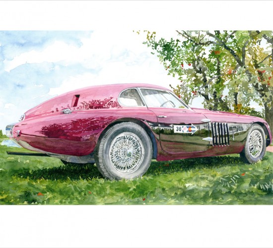 Down from the Mountains / 1939 Alfa Romeo 6C, 2500 SS